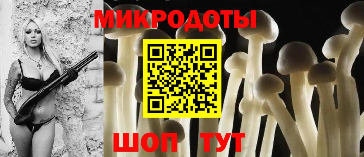 Псилоцибиновые грибы Psilocybe Железноводск