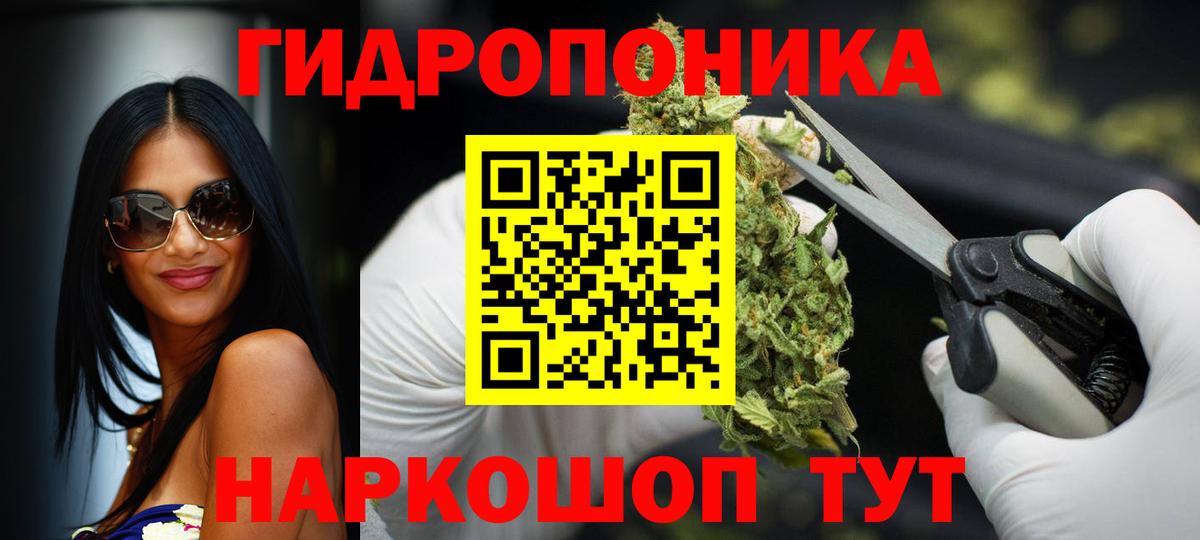 Конопля конопля  Бошки Шишки конопля  Марихуана THC 21%  Железноводск  Вход с VPN 